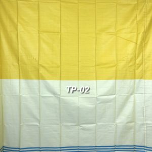 হলুদ-কালার-TP-02
